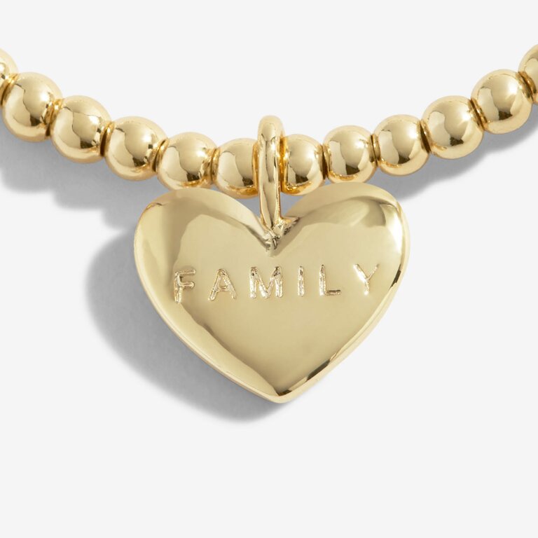 Joma Jewellery - Golden Glow "A Little Forever Family" Bracelet - Gold