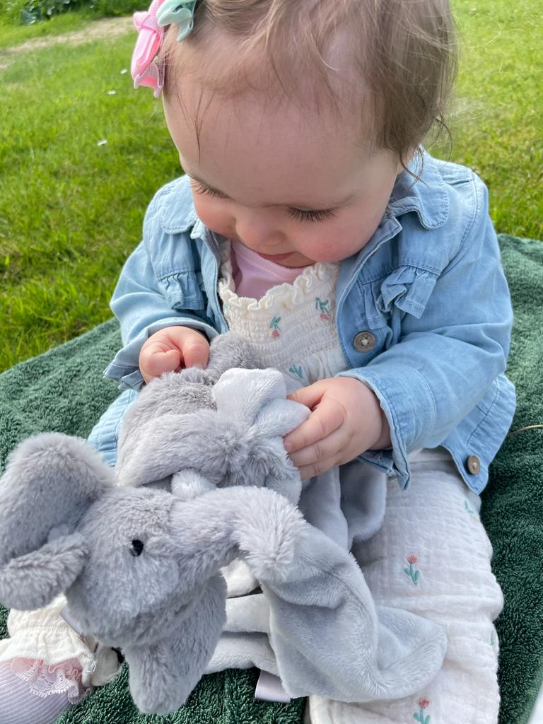 Ziggle Elephant Comforter