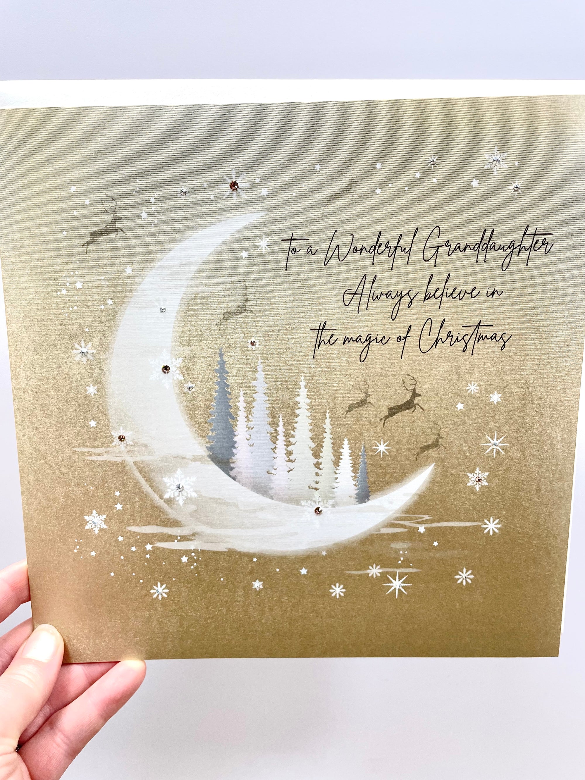 Five Dollar Shake -Wonderful Granddaughter Magic of Christmas LARGE Card
