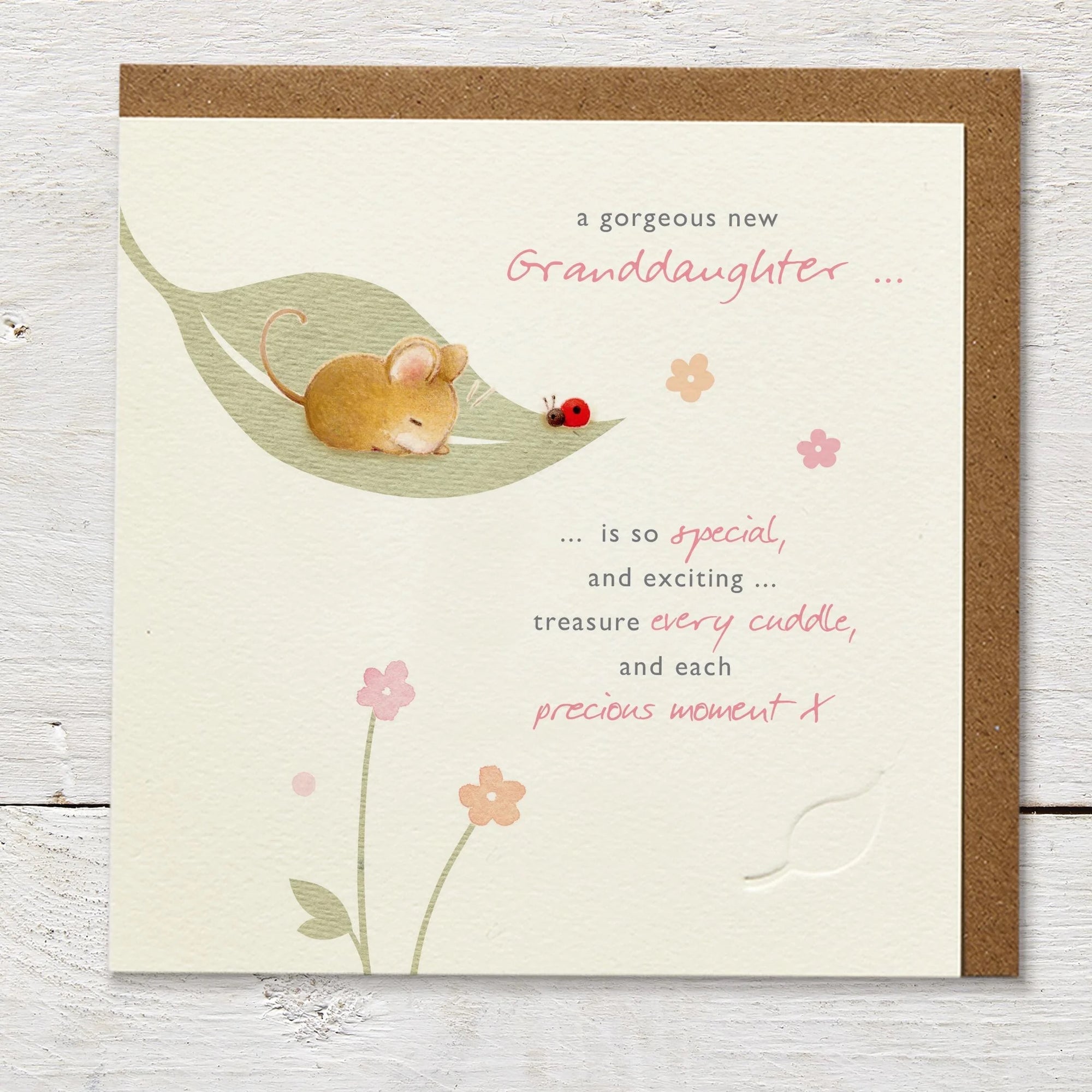 Gorgeous New Granddaughter Mouse Card - Ginger Betty