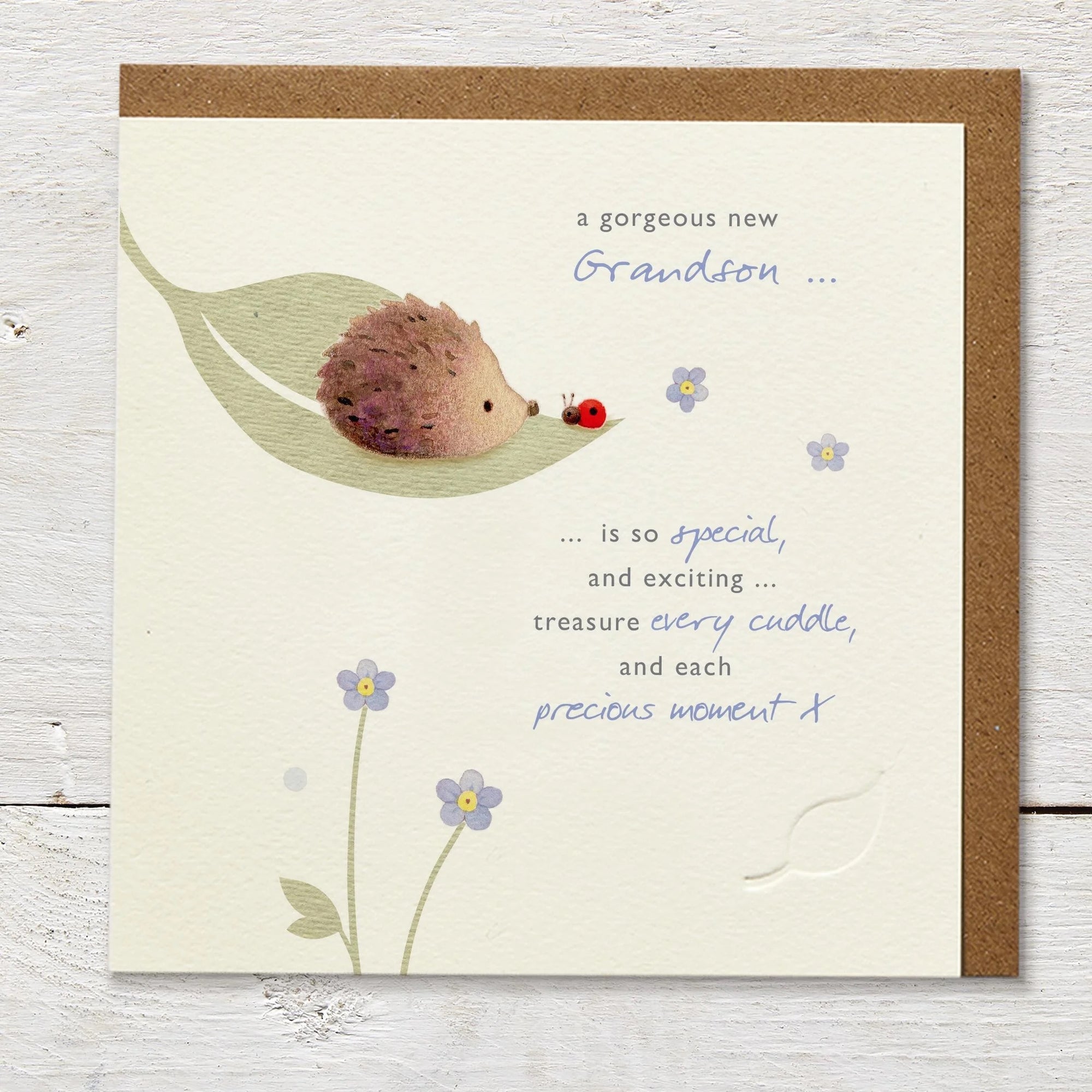 Gorgeous New Grandson Mouse Card - Ginger Betty