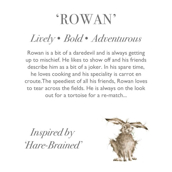 Rowan Junior - Hare Character Small Plush Toy - Wrendale Designs