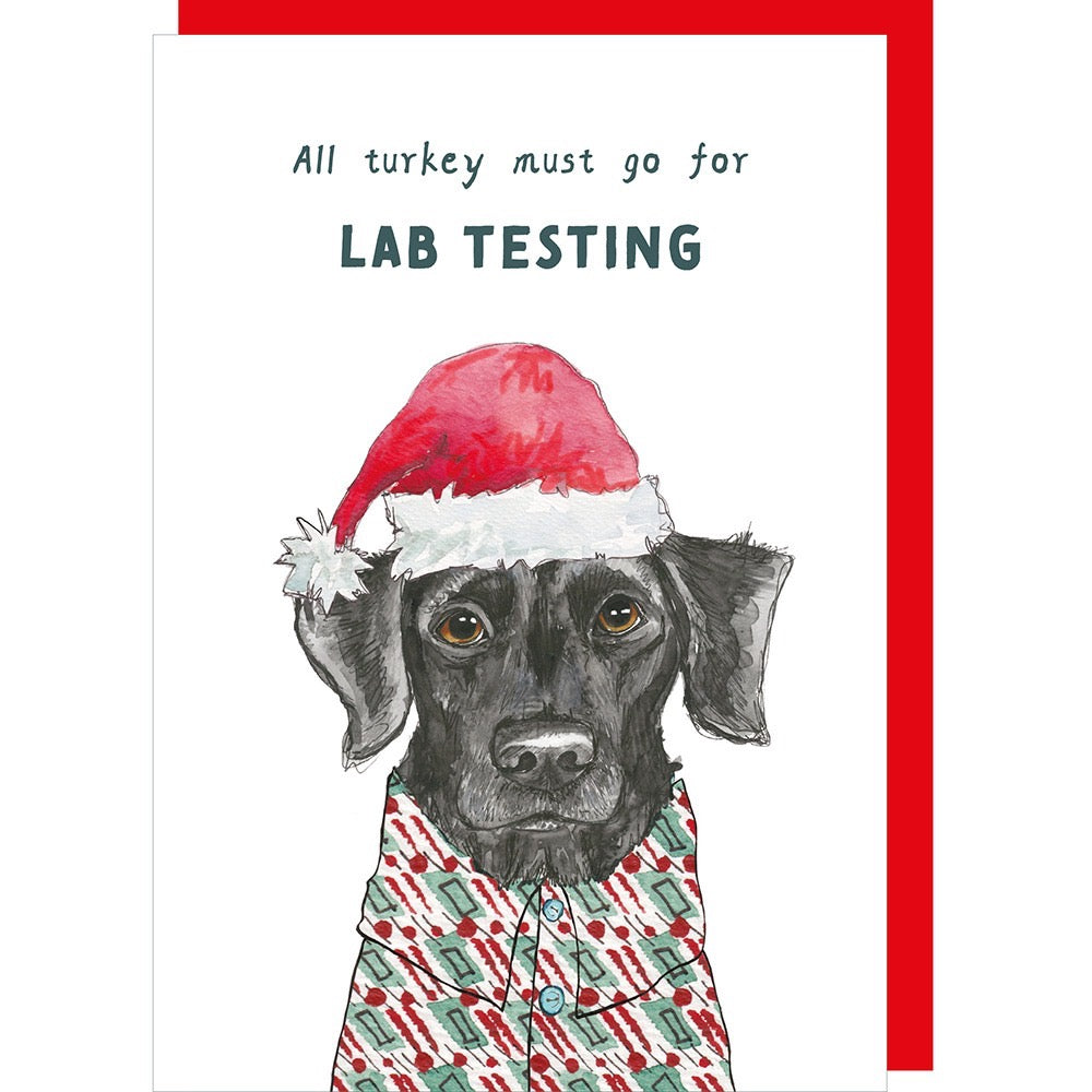 Rosie Made A Thing - Lab Testing - Christmas Card