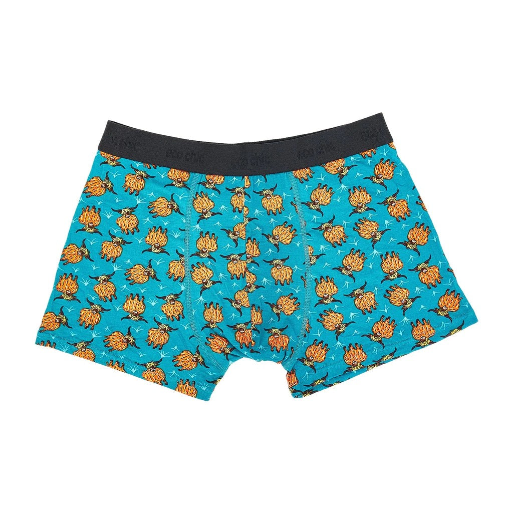 Eco Chic MENS Bamboo Boxers - Highland Cow - Teal