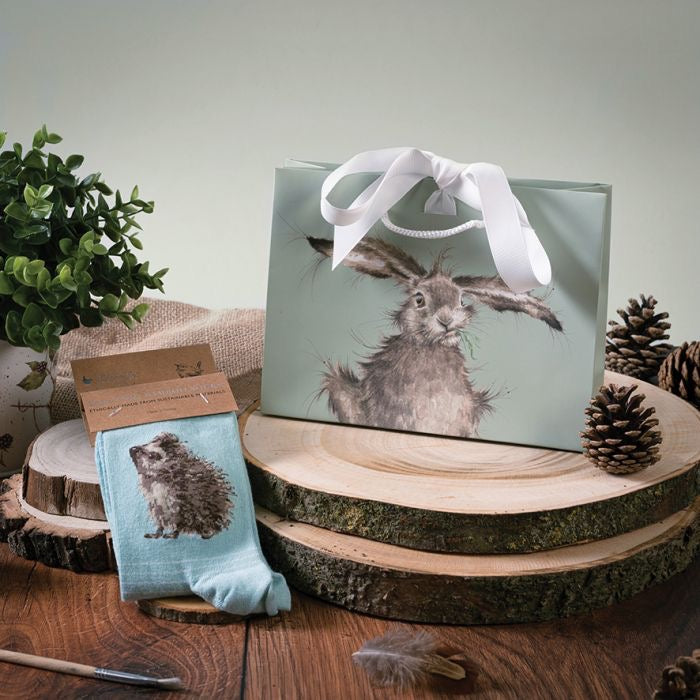 Hedgehugs (Hedgehog) Ladies Ankle Bamboo Socks -Duck Egg - Wrendale Designs