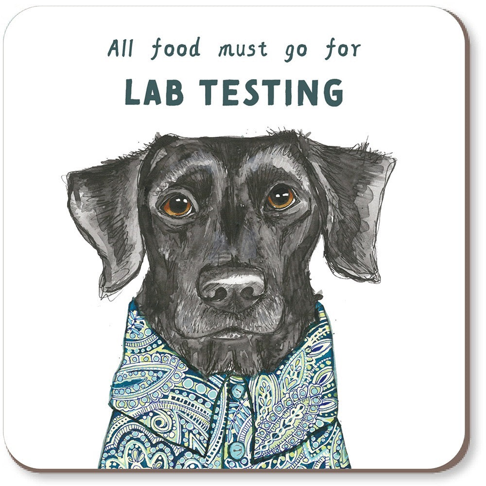 Rosie Made a Thing Coaster - Lab Test