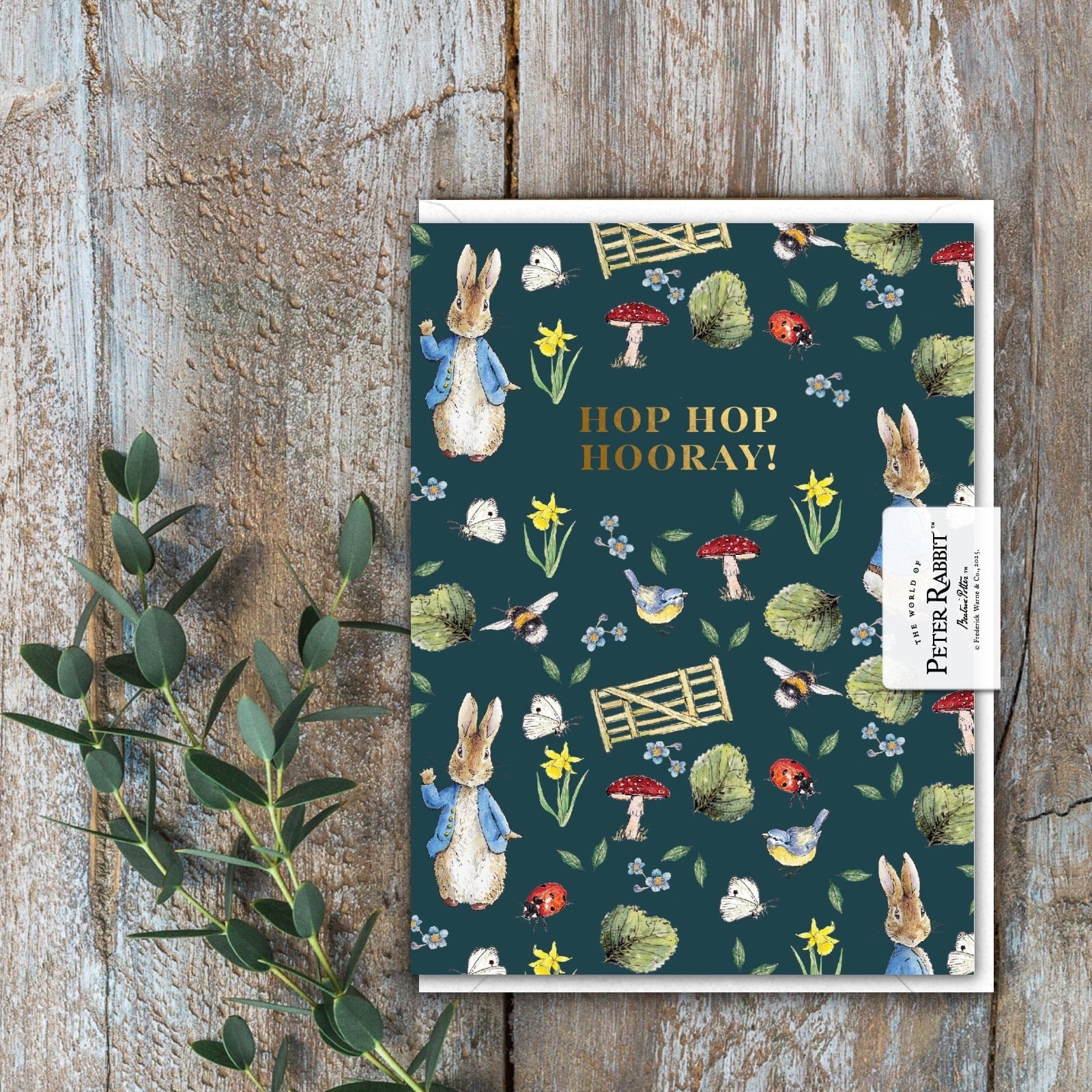 Toasted Crumpet - Peter Rabbit 'Hop Hop Hooray!' Blank MINI Birthday Card