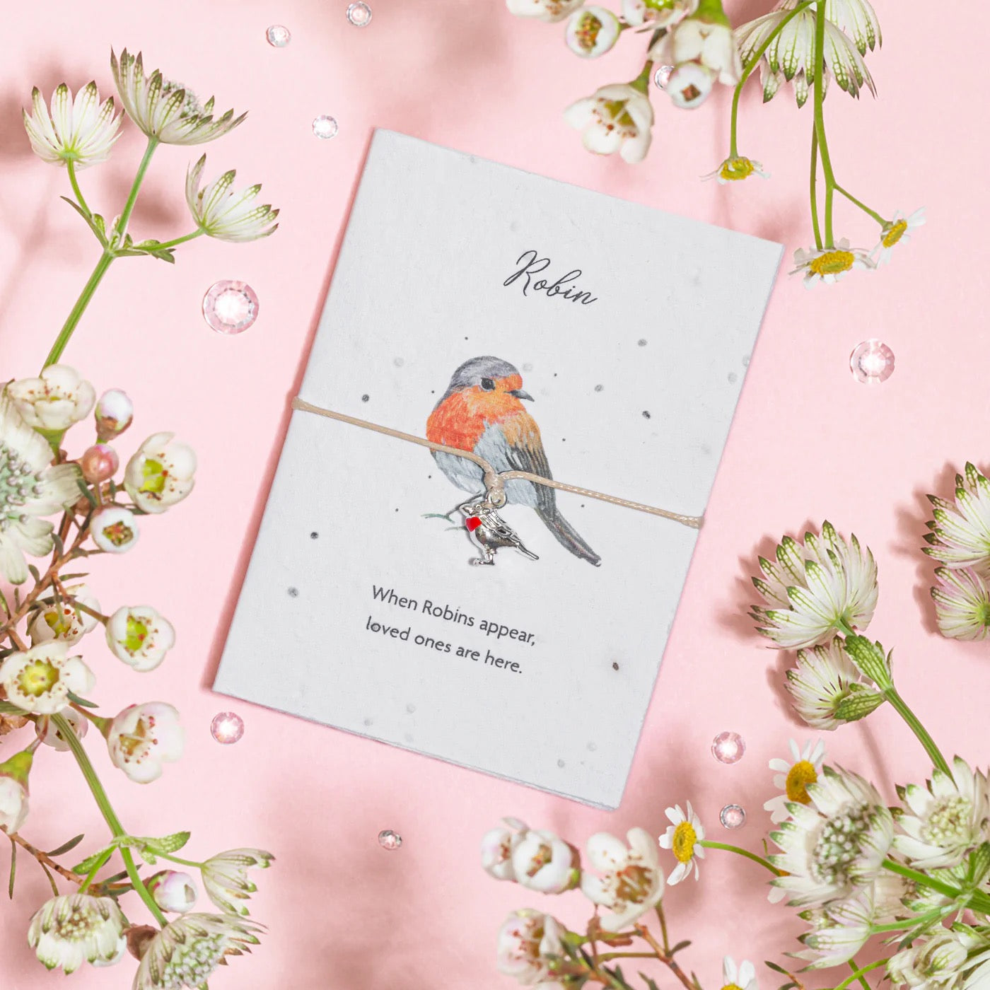 Letterbox Love Seeded Card Bracelet - Red Robin - Robin