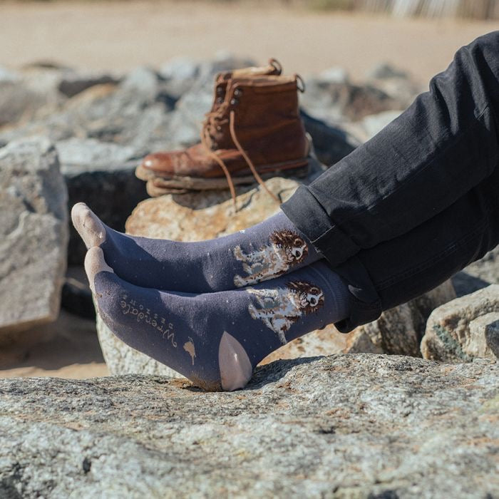 'Willow' Spaniel Dog Mens Bamboo Socks - Wrendale Designs