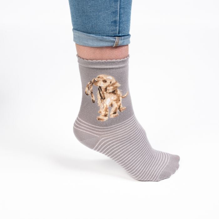 Hopeful Dog Ladies Ankle Bamboo Socks - Grey - Wrendale Designs