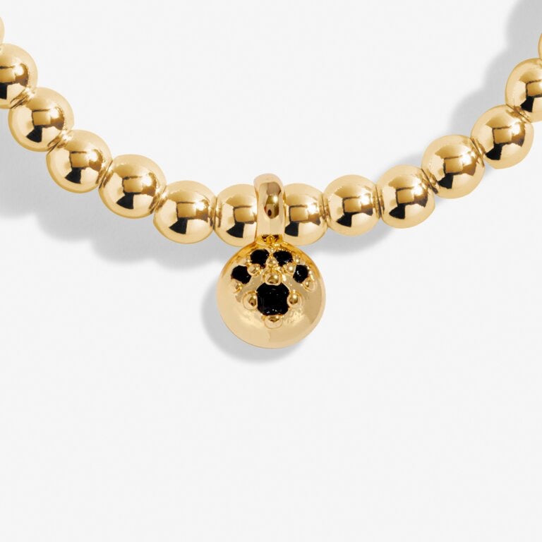 Joma Jewellery - A little 'Paw Print' Bracelet - Gold
