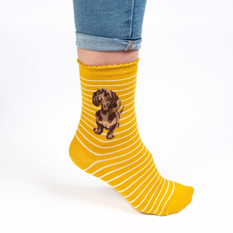 'Little One' Dachshund Ladies Ankle Bamboo Socks - Mustard - Wrendale Designs