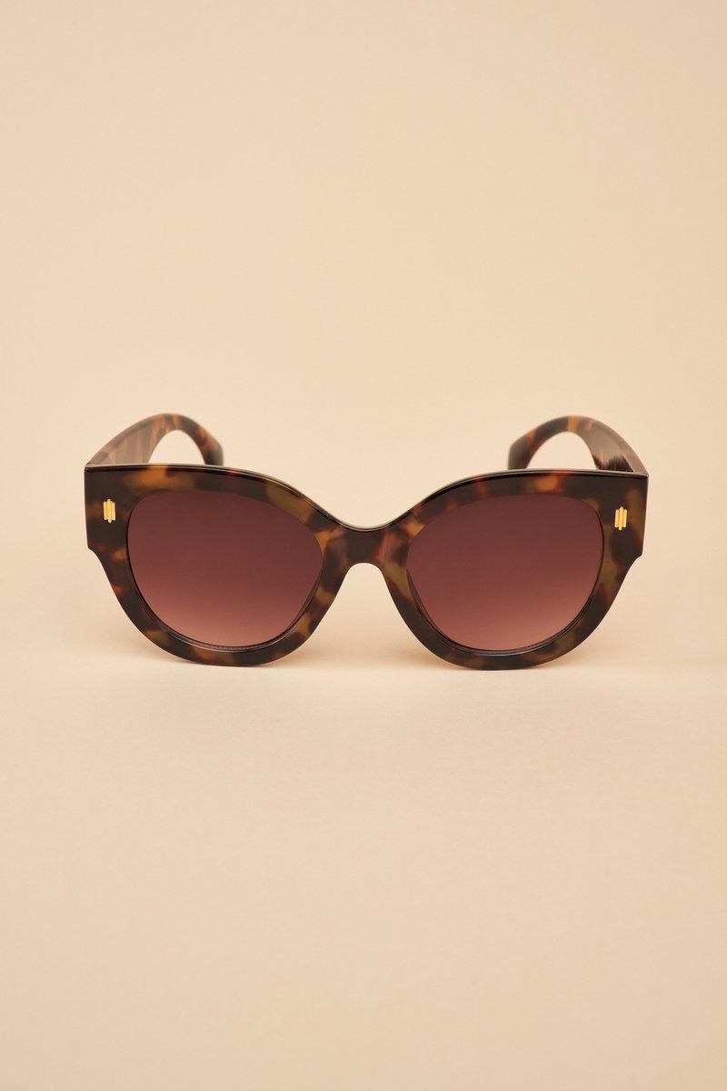 Powder Bailey Sunglasses -Tortoiseshell