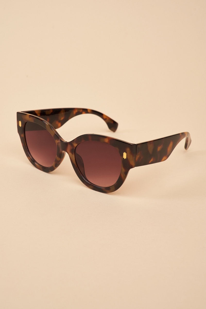 Powder Bailey Sunglasses -Tortoiseshell