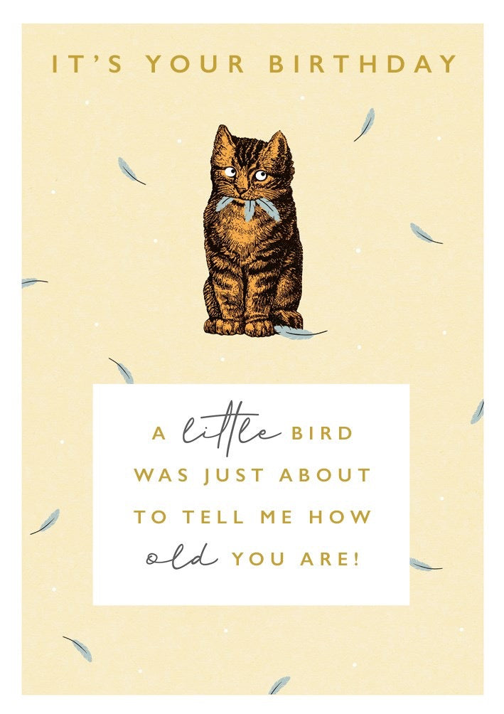 The Art File - A Little Bird Cat Birthday Card