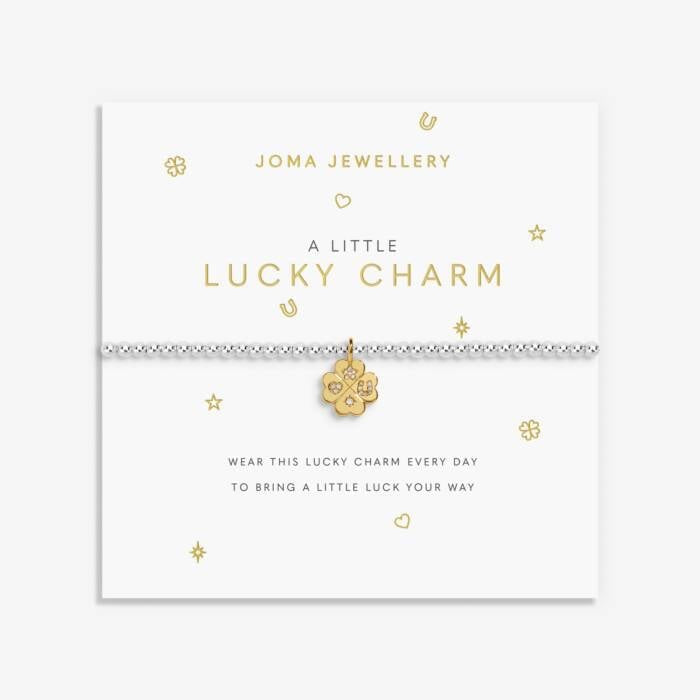 Joma Jewellery A Little Lucky Charm Bracelet - Silver & Gold Stretch Bracelet