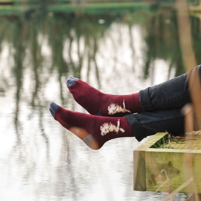 The Hare Mens Bamboo Socks - Wrendale Designs