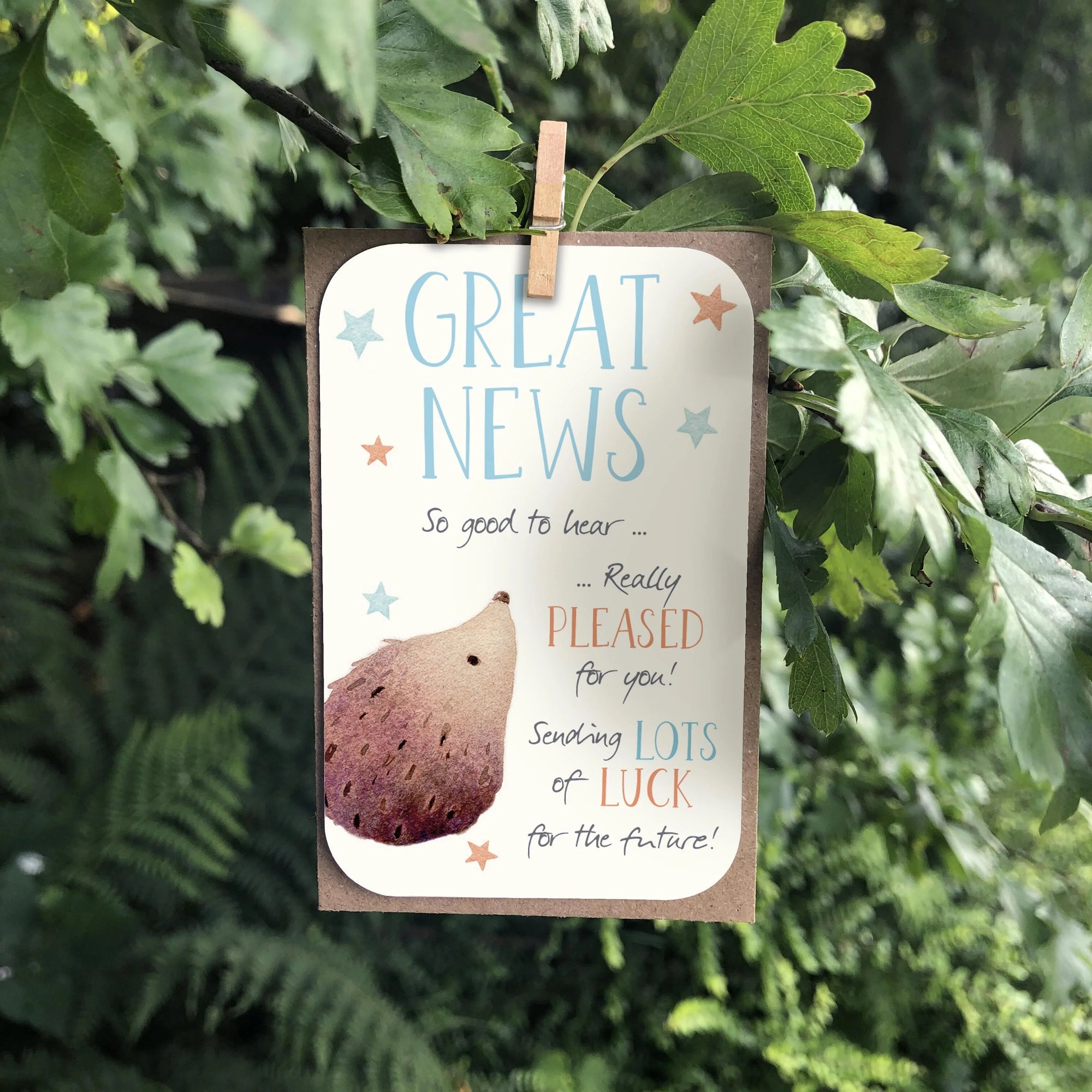 MINI KEEPSAKE - Great News - Blank Mini Card - Ginger Betty