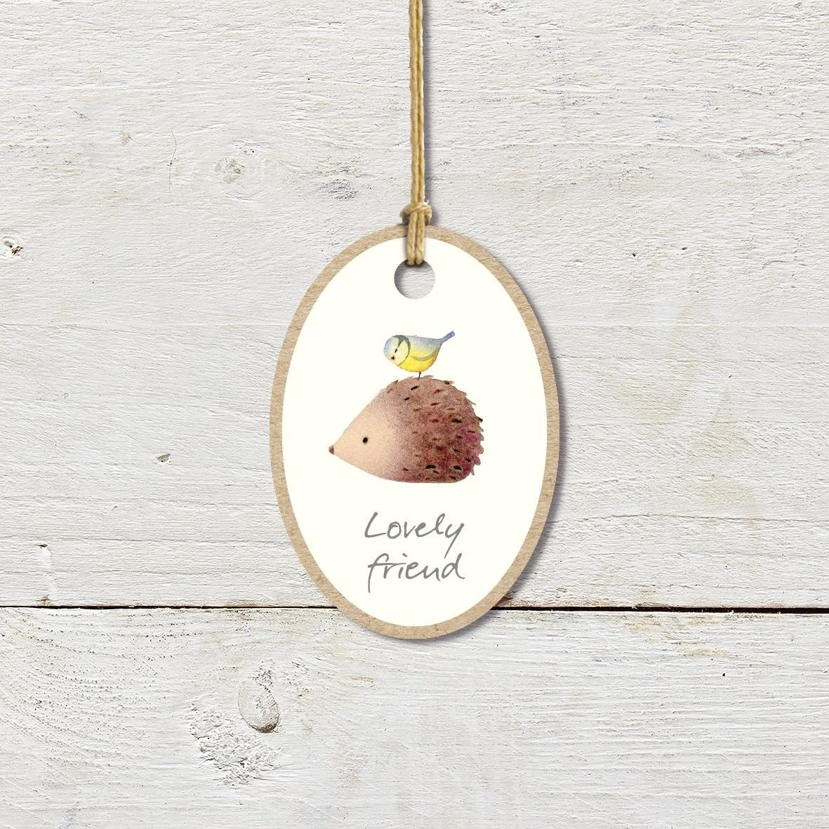 Small Oval Hanging Wood Plaque - Lovely Friend (Hedgehog & Bluetit) - Ginger Betty