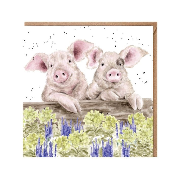 'Nosy Neigh-boars' Pig Blank Card - Wrendale Designs