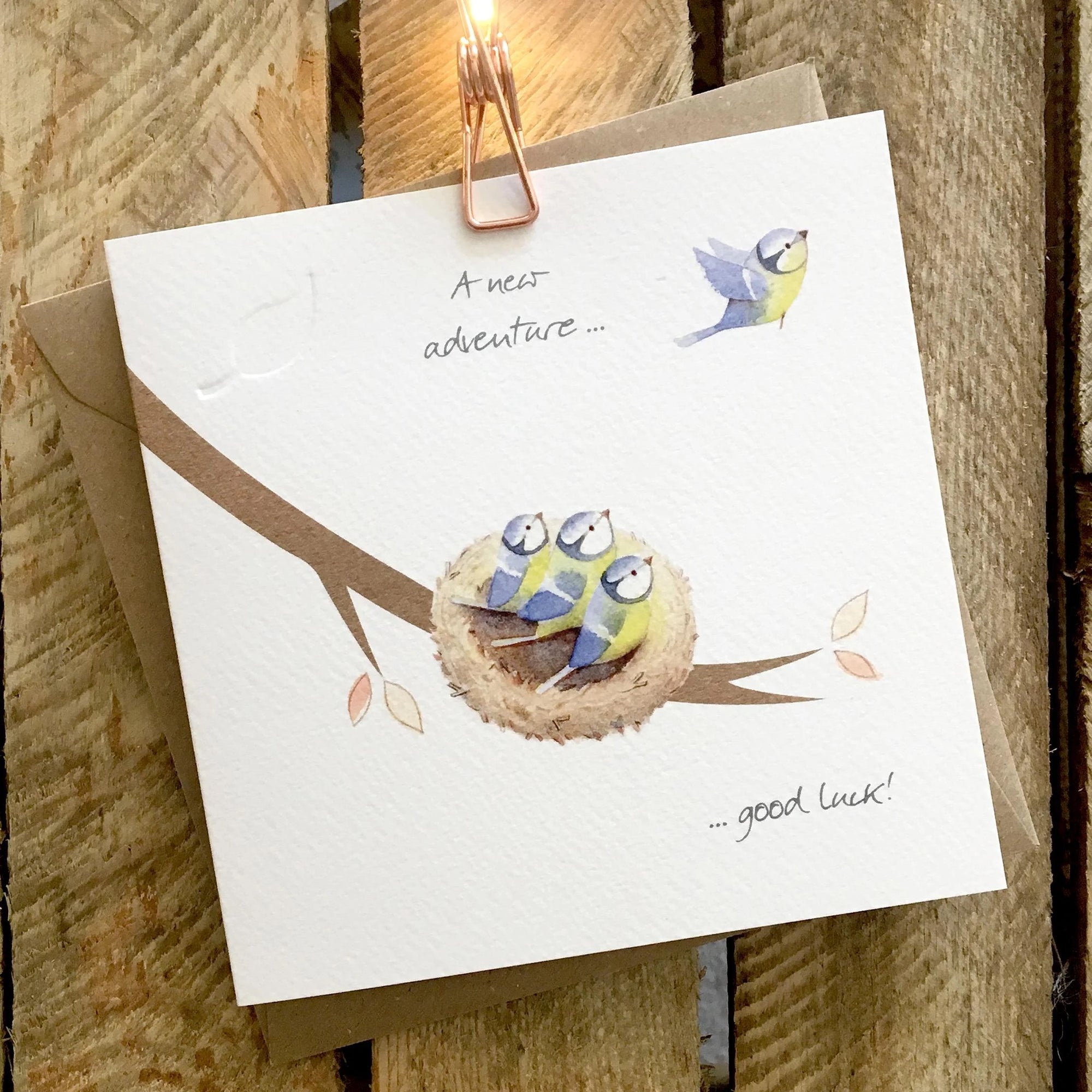 Ginger Betty - A New Adventure Good Luck (Bluetits) - Blank Card