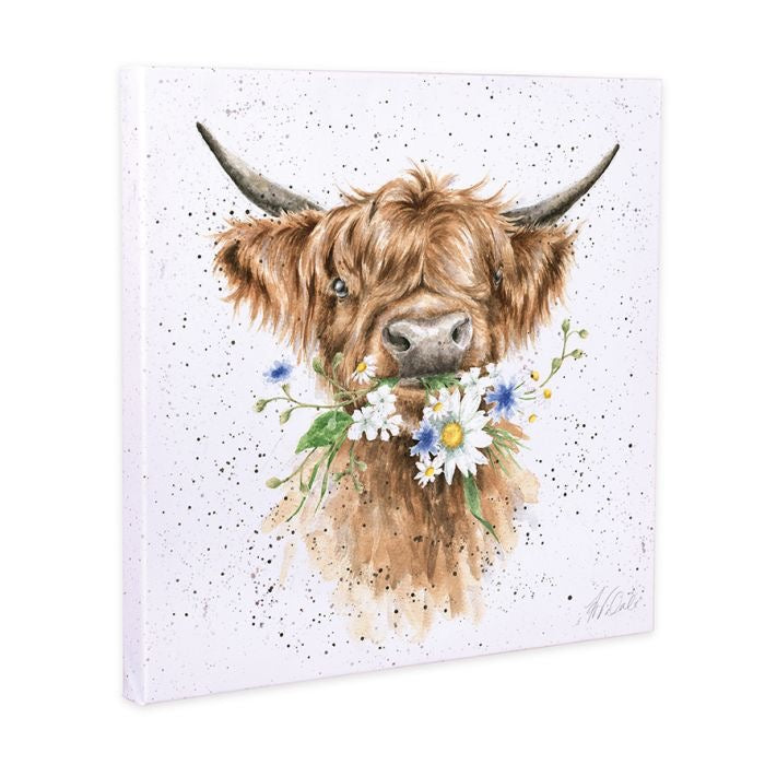 'Daisy Coo' Highland Cow - 20cm Wall Canvas Art - Wrendale Designs