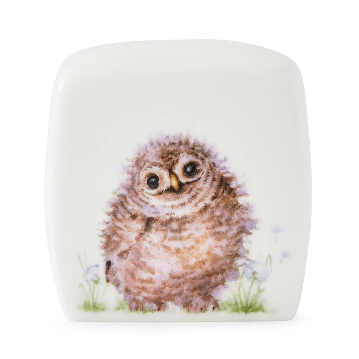 Wrendale - The Little Wren Money Box