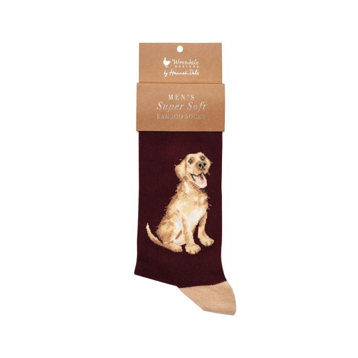 'Good as Gold' Golden Labrador Dog Mens Bamboo Socks - Wrendale Designs