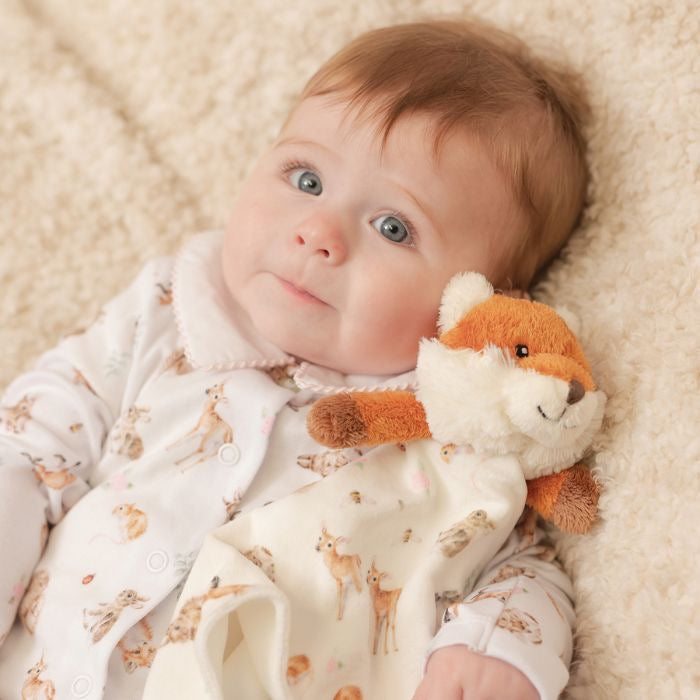 Little Forest Fox Plush Comforter - The Little Wren by Wrendale Designs