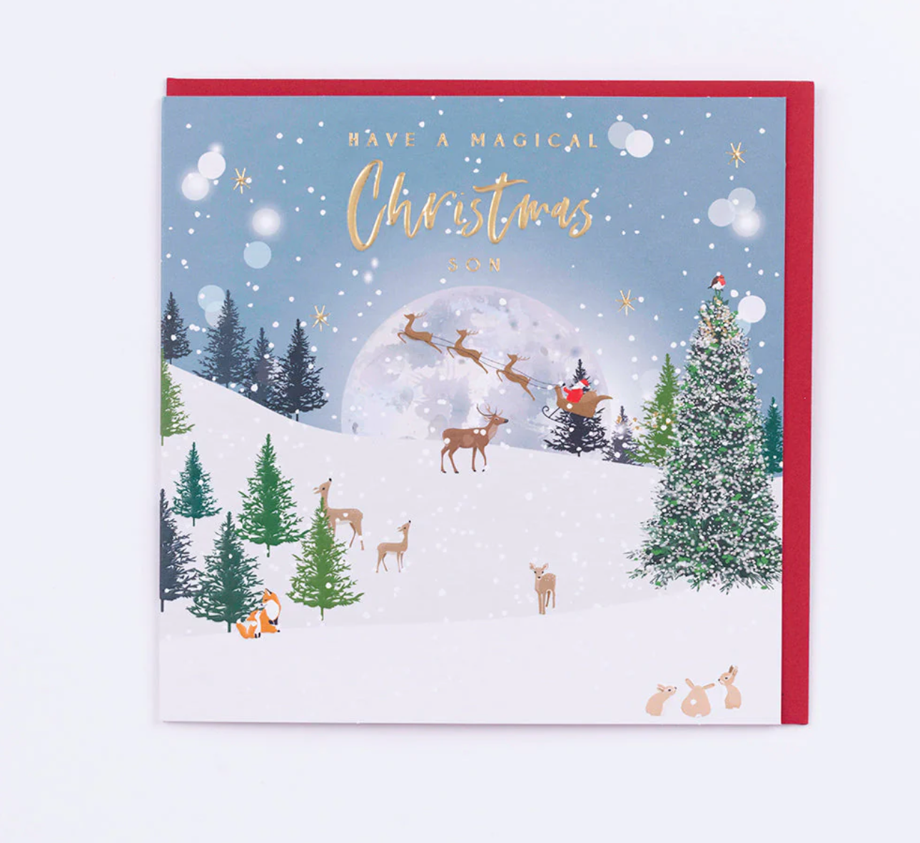 Belly Button Have a Magical Christmas Son Card