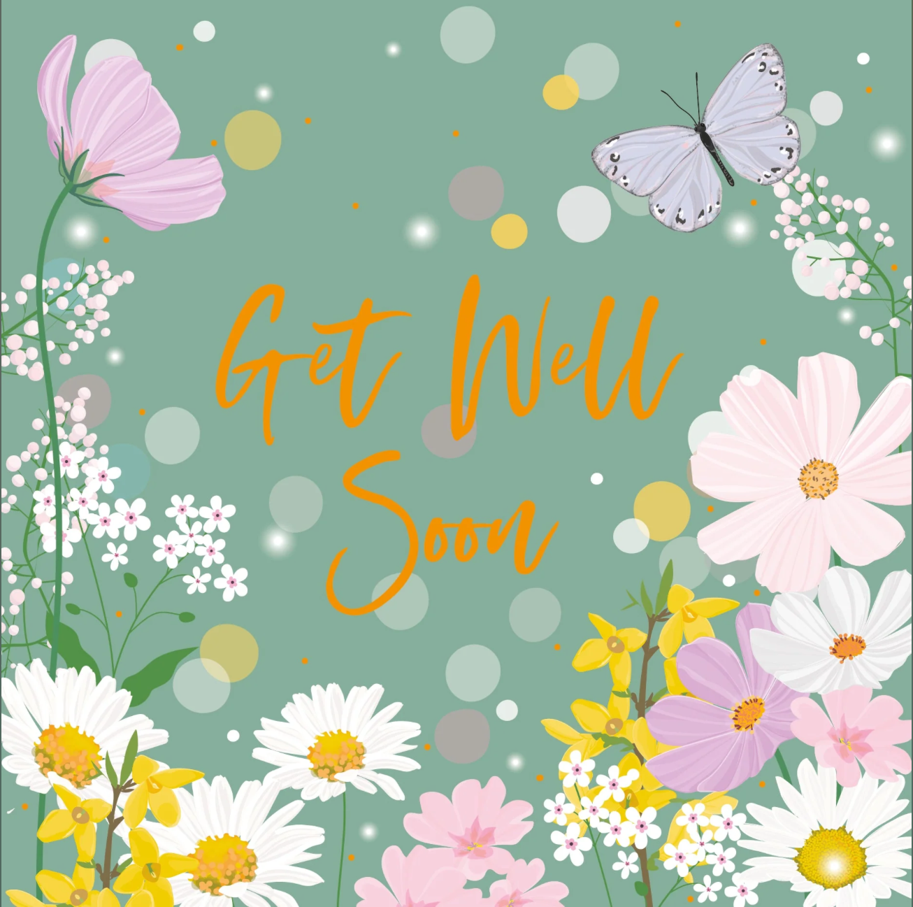 Belly Button Get Well Soon Butterfly & Floral Green Card