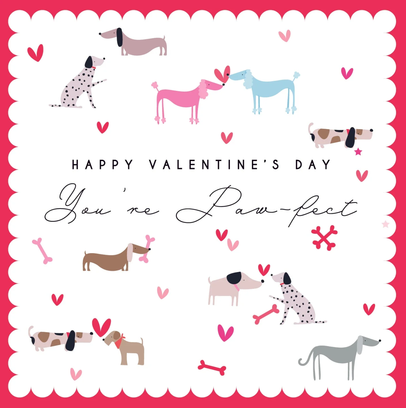 Belly Button Happy Valentine's Day You-re Paw-fect Dog Print SMALL Card
