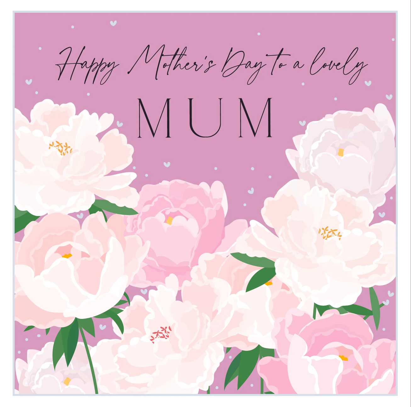 Belly Button Happy Mother's Day to a Lovely Mum Pink Floral Card