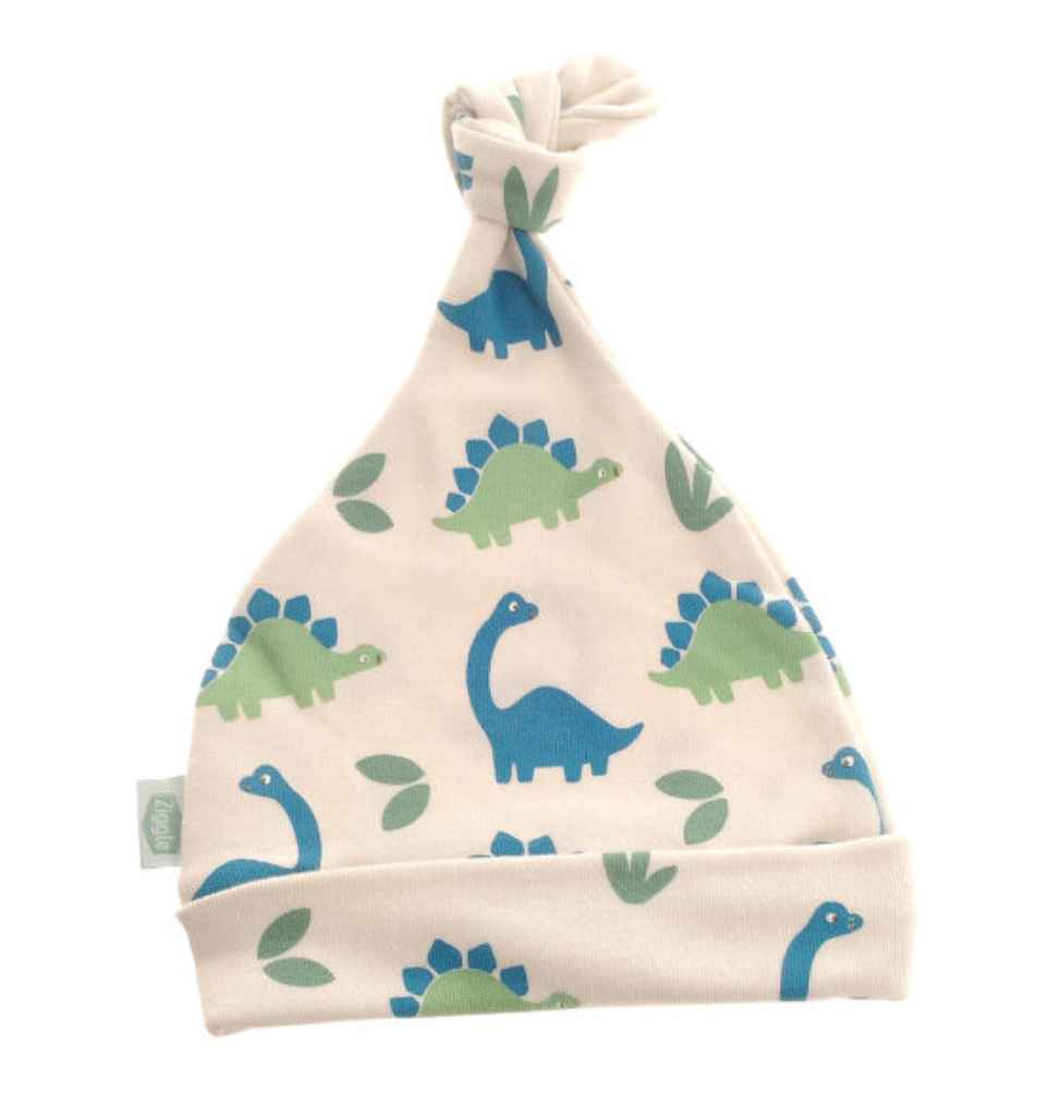 Ziggle Blue & Green Dinosaurs Cotton Hat