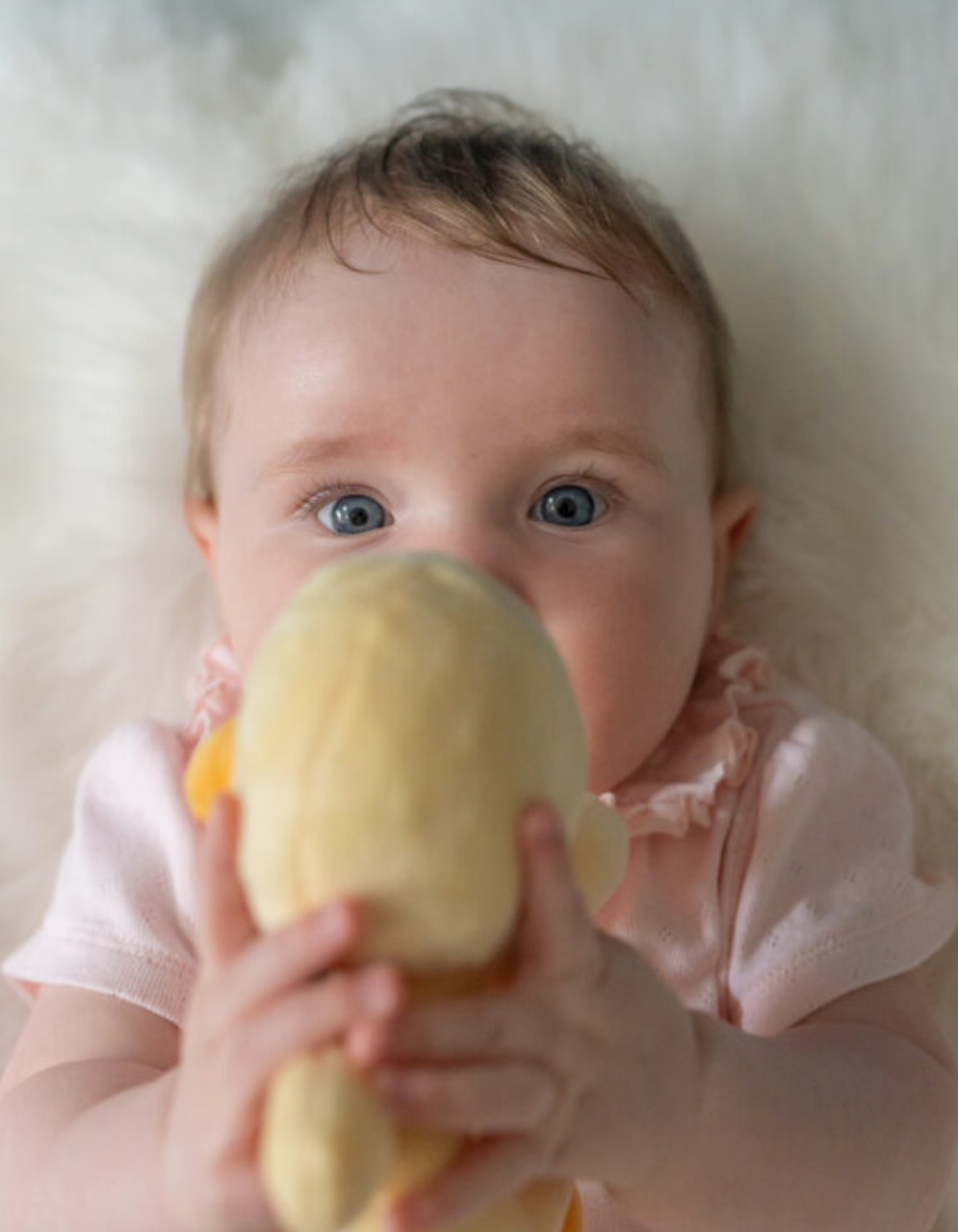 Ziggle Duck Plush Baby Rattle - Yellow