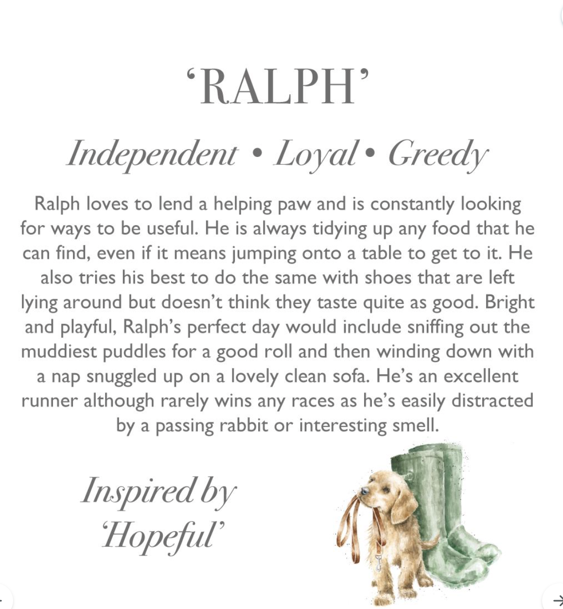 Ralph - Dog - Large Plush Soft Toy - Wrendale Designs