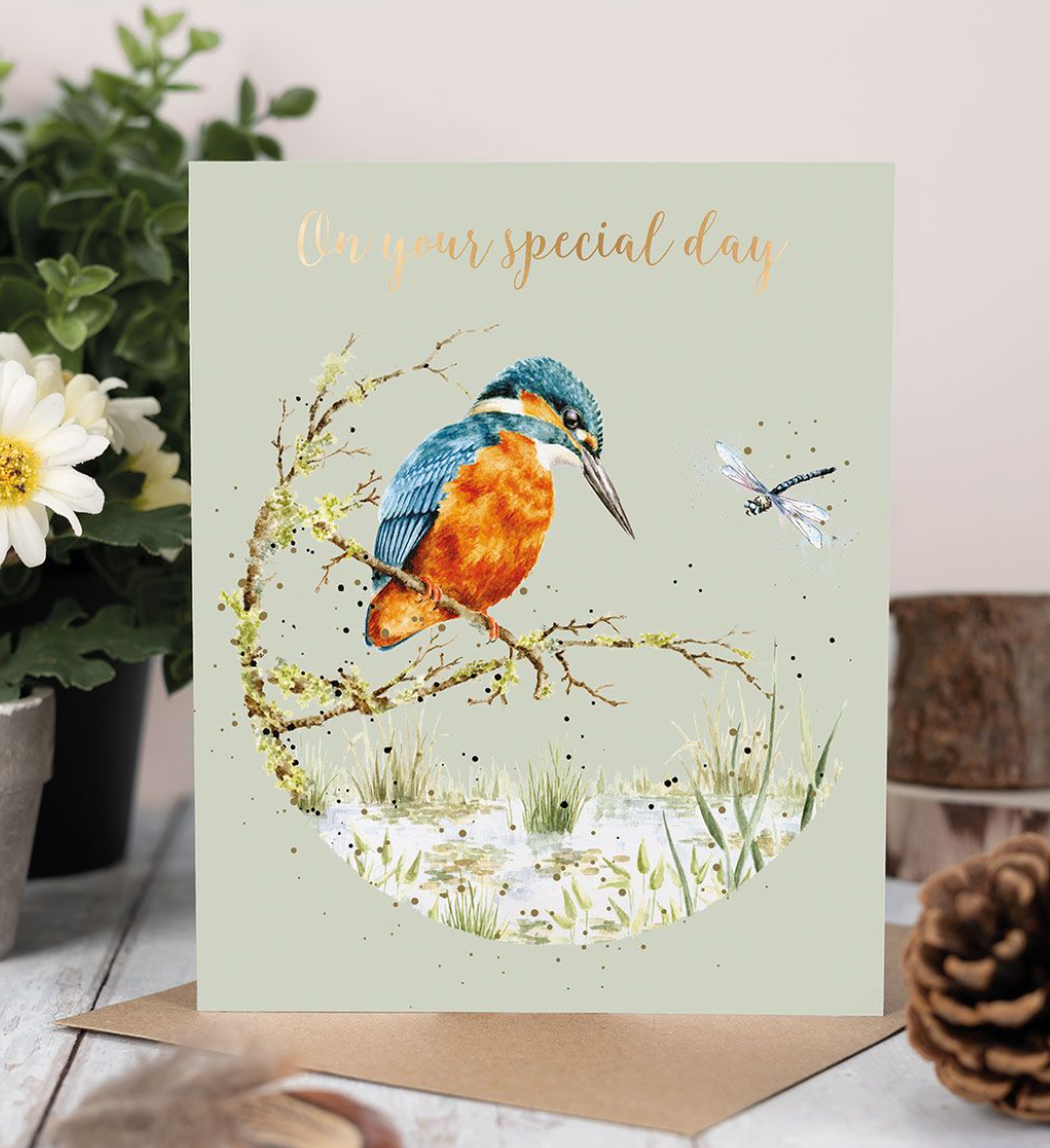 'Pond Dipping' Kingfisher Birthday Card - Wrendale Designs