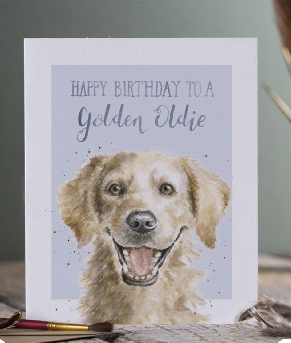 'Golden Oldie' Golden Retriever Birthday Card - Wrendale Designs