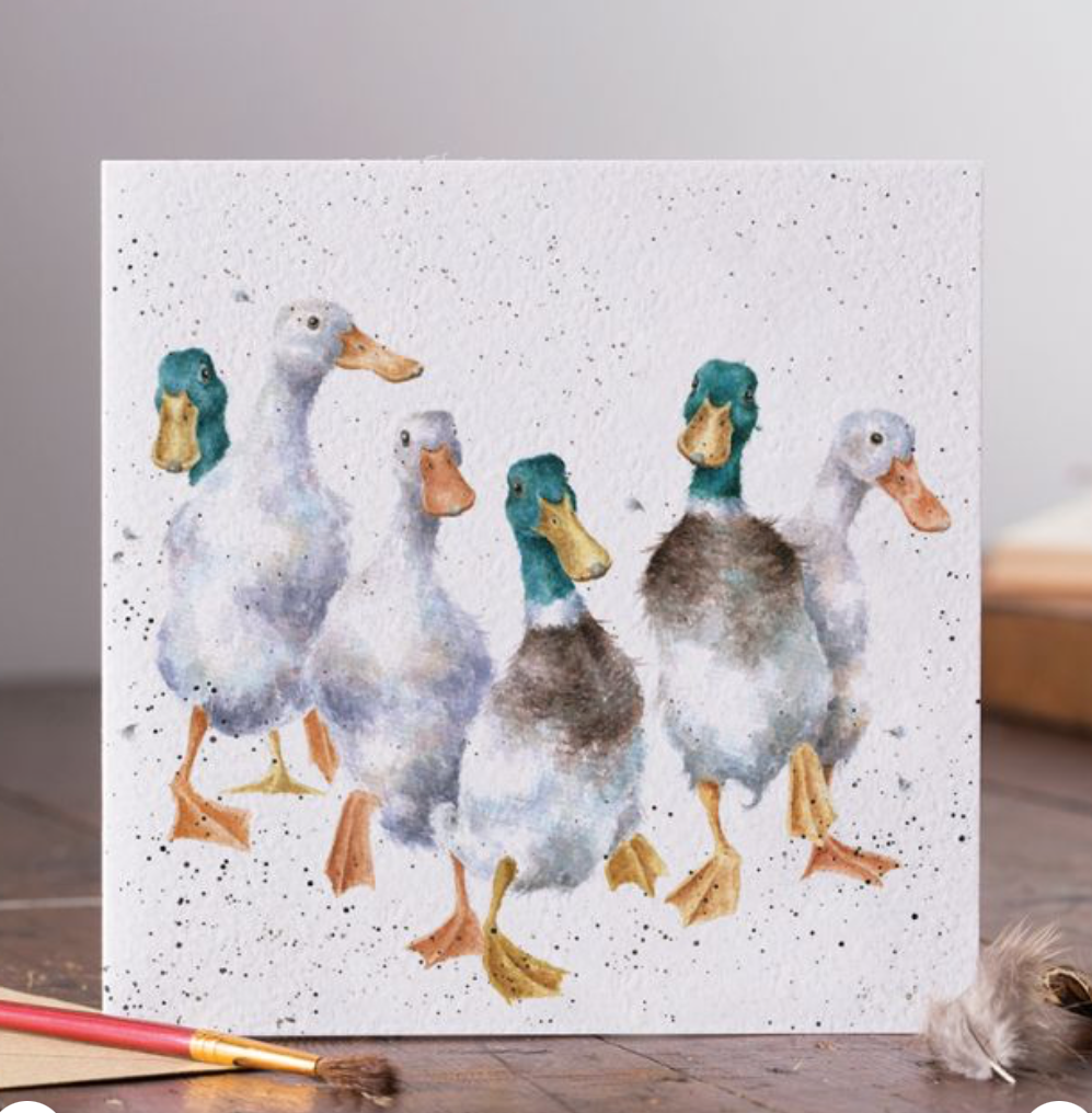'Quackers' Ducks Blank Card - Wrendale Designs
