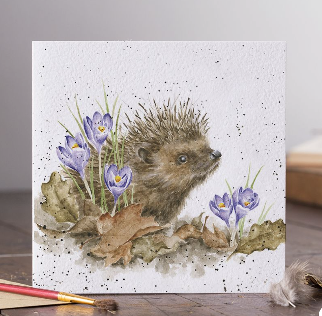 'New Beginnings' Hedgehog Blank Card - Wrendale Designs