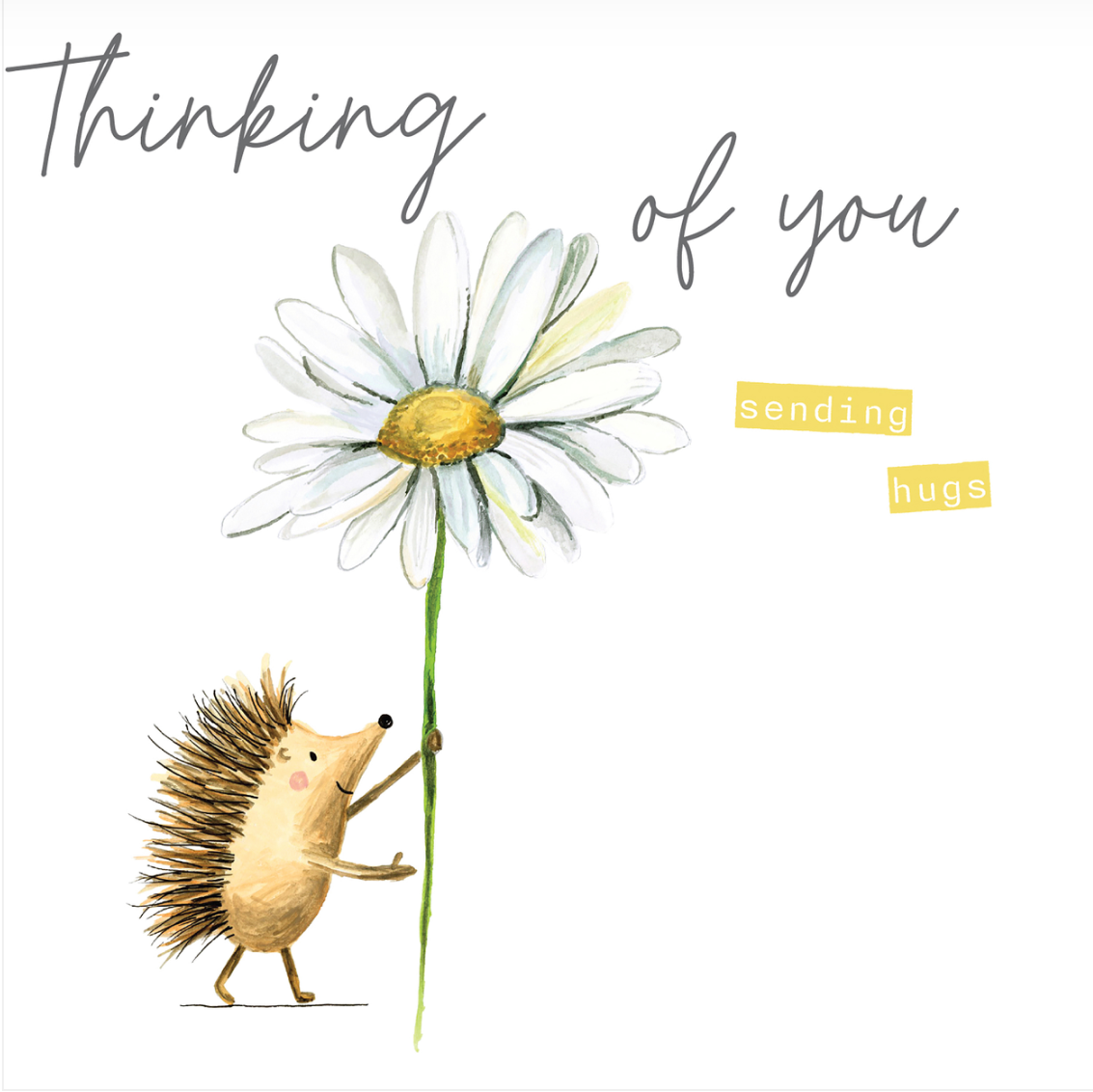 Janie Wilson -Thinking of You Sending Hugs - Hedgehogs & Daisy SMALL Card