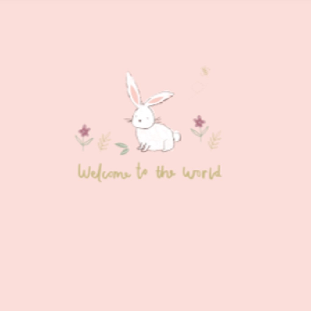 Ziggle Pink Bunny Welcome to the World Card