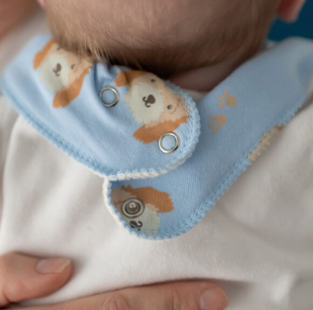 Ziggle Cockapoo Puppy Print Dribble Bib - Powder Blue