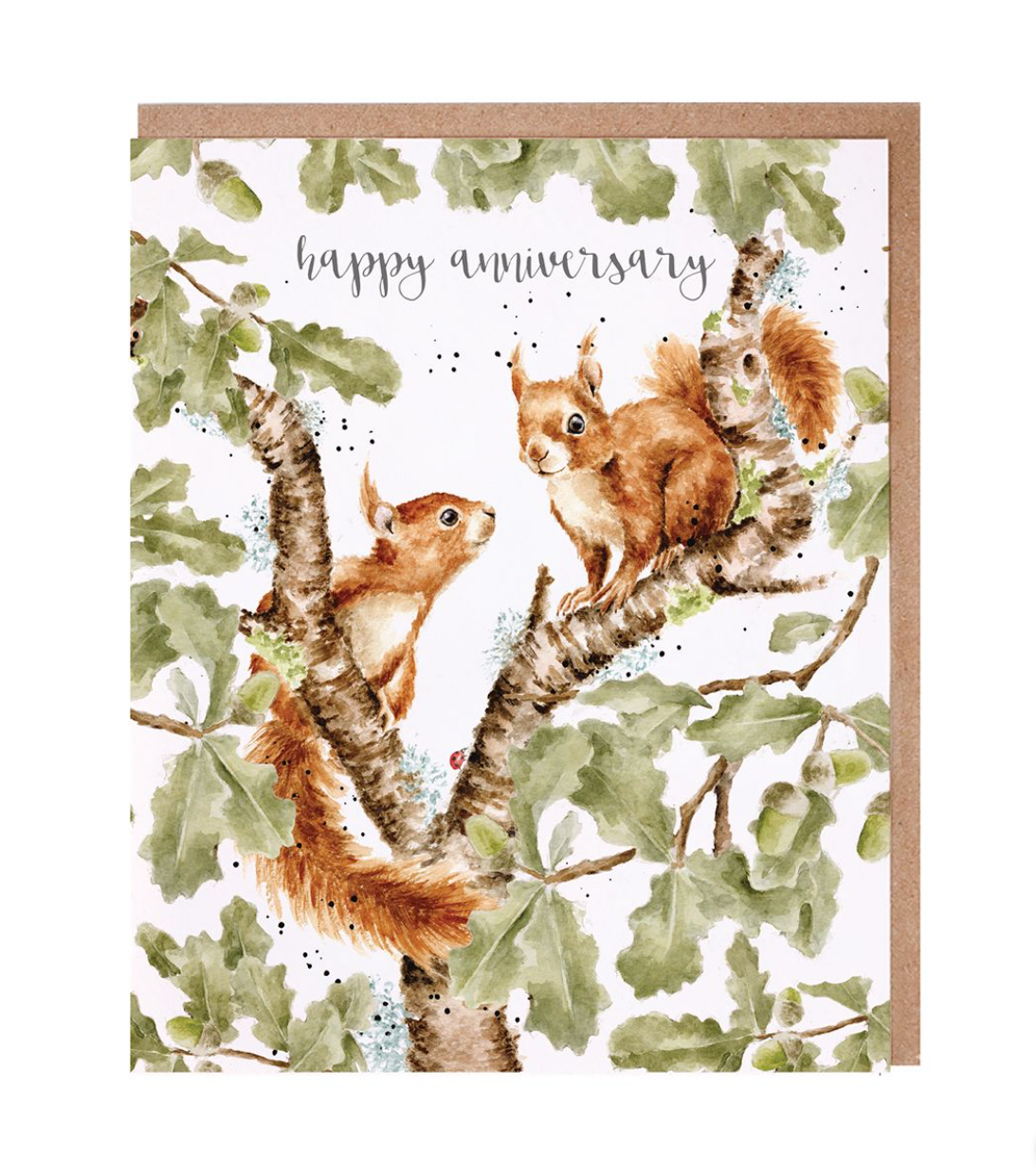 'Another Year Squirrelling Around' Squirrel Anniversary Card - Wrendale Designs