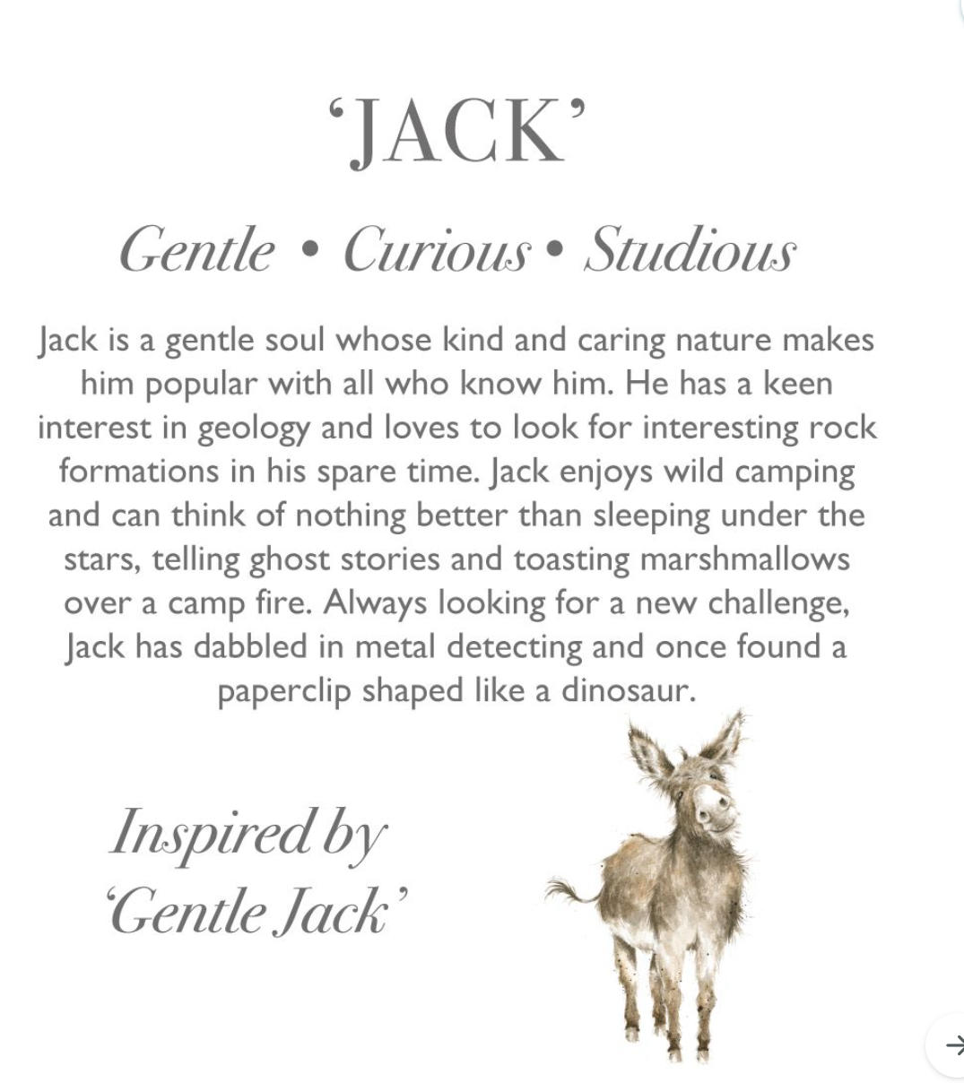 Jack - Donkey Character Small Plush Toy - Wrendale Designs