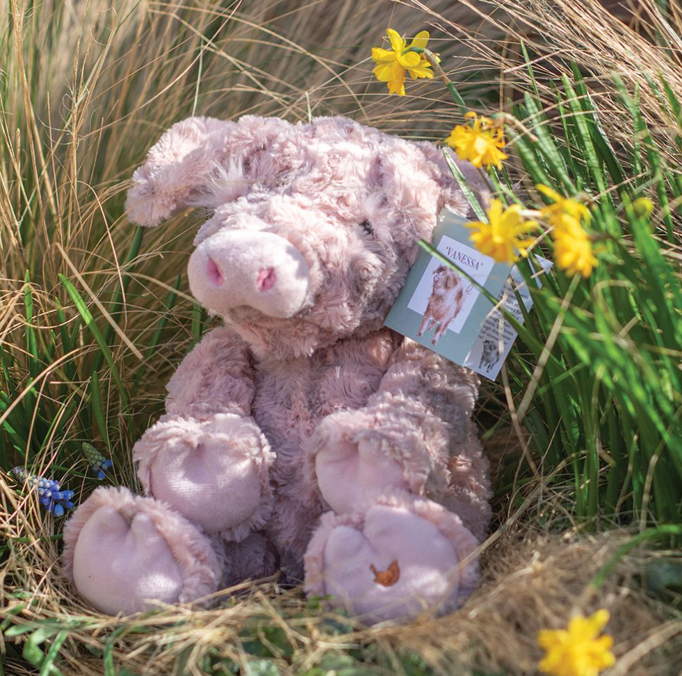 Vanessa - Pig Character Large Plush Toy - Wrendale Designs