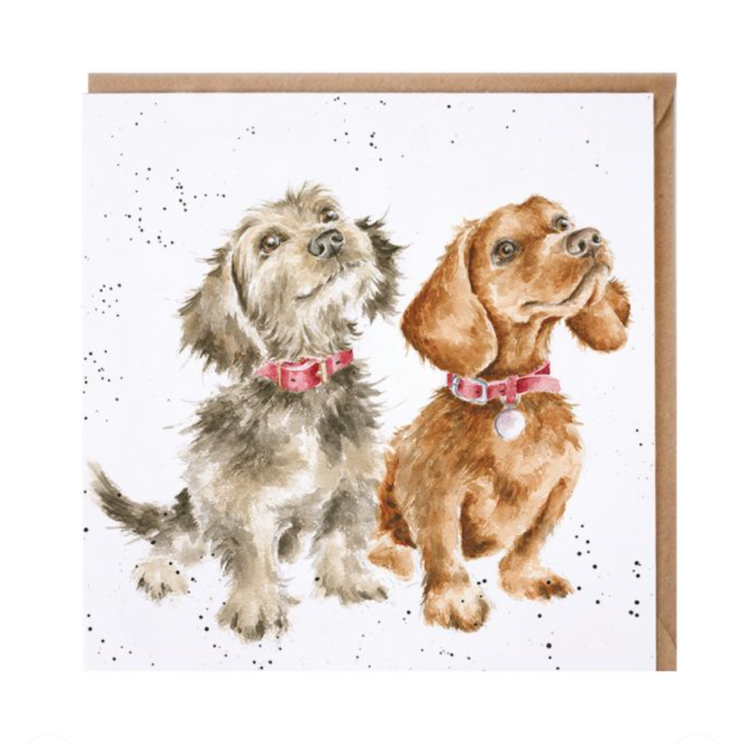 'Treat Time' Dogs Blank Card - Wrendale Designs