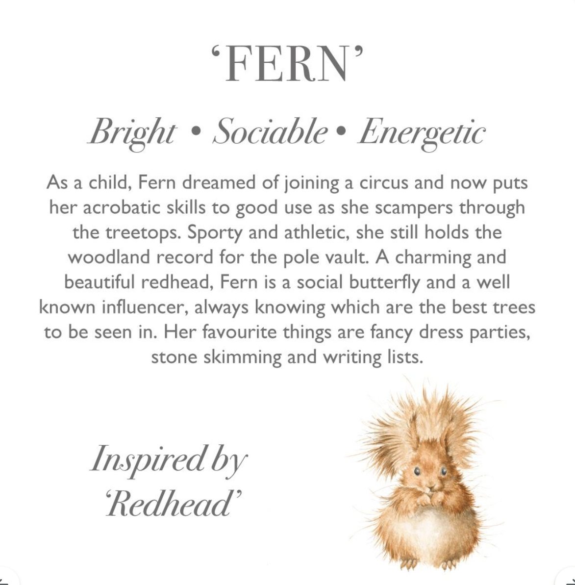 Fern - Squirrel Character Large Plush Toy - Wrendale Designs