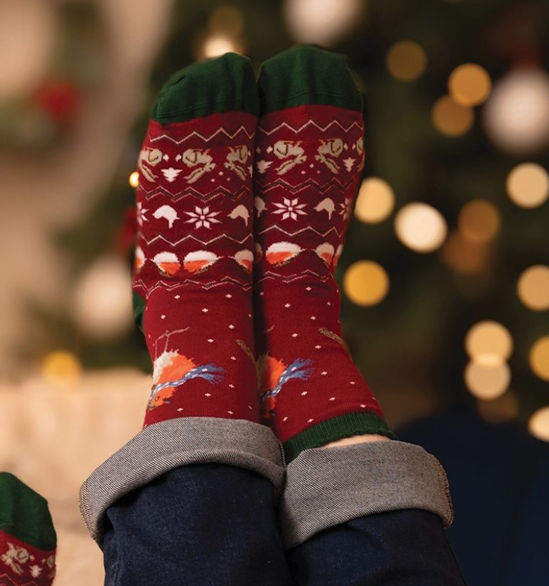 'Seasons Tweetings' Robin Christmas Ladies Ankle Bamboo Socks - Red - Wrendale Designs