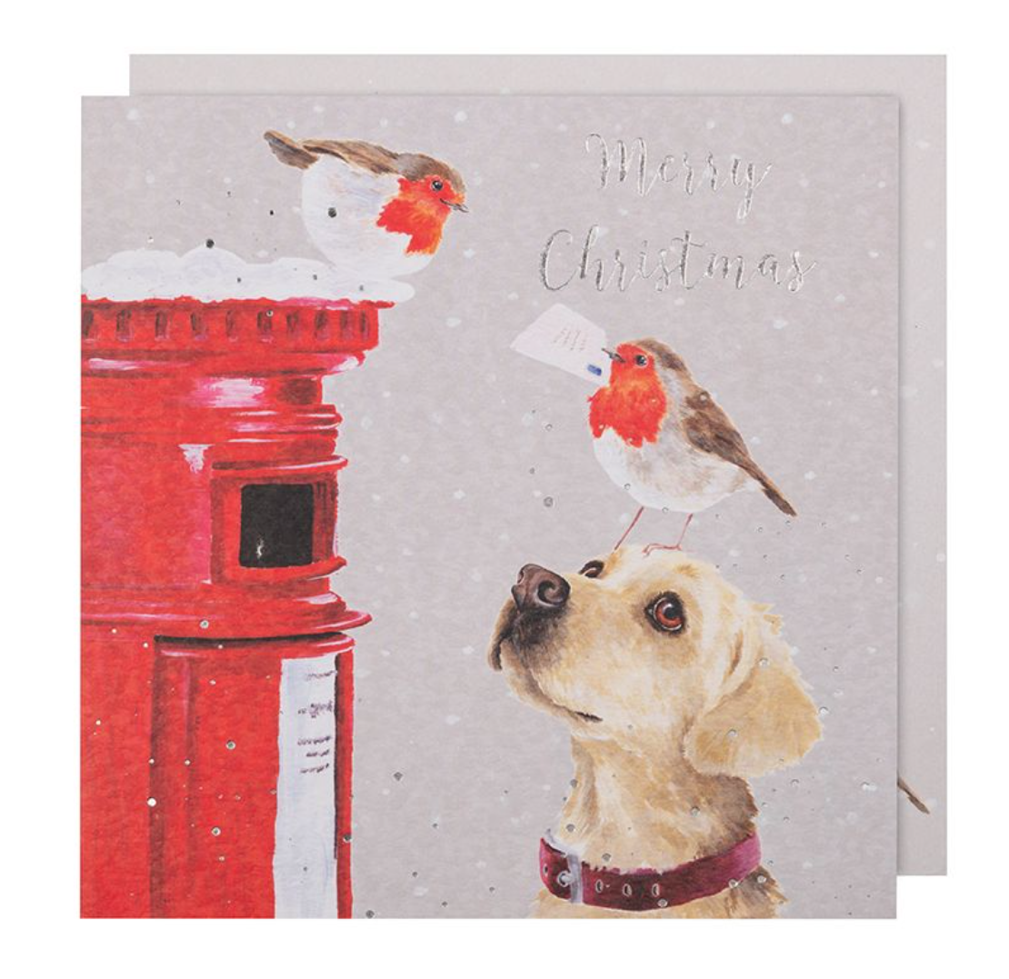 'Letters to Santa' Robin & Labrador Luxury Boxed Christmas Cards - Wrendale Designs